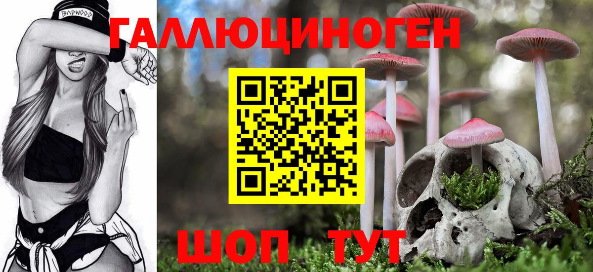 купить  цена  Галлюциногенные грибы мицелий  Вход с VPN  Новочебоксарск  Псилоцибиновые грибы ЛСД 